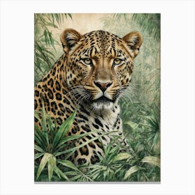 Leopard In The Jungle Canvas Print