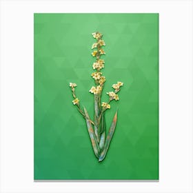 Vintage Pale Yellow Eyed Grass Botanical Art on Classic Green Canvas Print