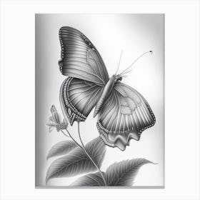 Butterfly On Flower Greyscale Sketch 1 Canvas Print