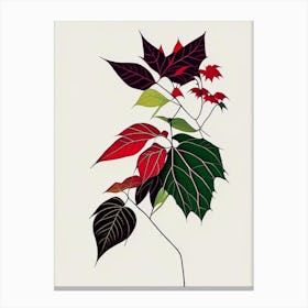Western Poison Ivy Minimal Line Drawing 5 Canvas Print