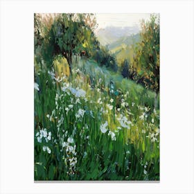 White Flowers In The Meadow Canvas Print