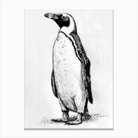 King Penguin Standing Tall And Proud 4 Canvas Print