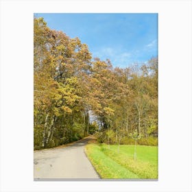 Country Road In Autumn Canvas Print