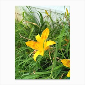 My pretty flower Canvas Print