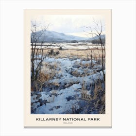 Killarney National Park Ireland 2 Poster Canvas Print