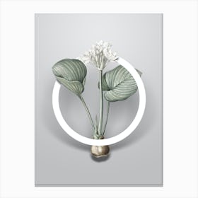 Vintage Cardwell Lily Minimalist Botanical Geometric Circle on Soft Gray n.0378 Canvas Print