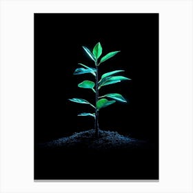 Green Plant On Black Background 5 Canvas Print