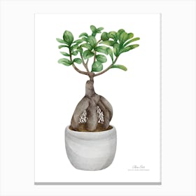 Bonsai Tree.A fine artistic print that decorates the place. Canvas Print