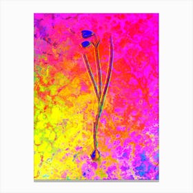 Snowbell Botanical in Acid Neon Pink Green and Blue n.0076 Canvas Print