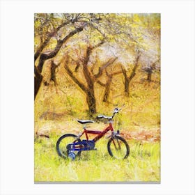 Bicycle In The Almond Grove Canvas Print
