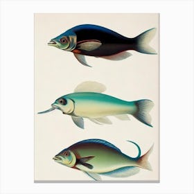 Squid Vintage Poster Canvas Print