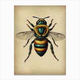 Bee Print Canvas Print