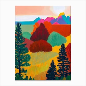Grand Teton National Park United States Of America Abstract Colourful Canvas Print
