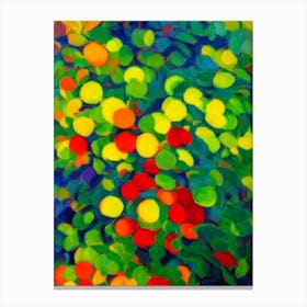 Abiu 2 Fruit Vibrant Matisse Inspired Painting Fruit Canvas Print