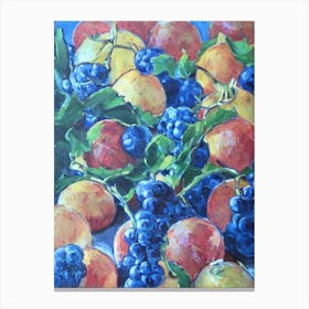 Grapefruit 2 Classic Fruit Canvas Print