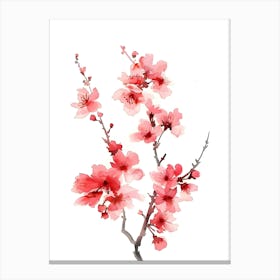 Watercolor Cherry Blossoms 4 Canvas Print