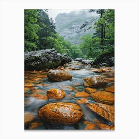 Orange Rocks In A Stream Canvas Print