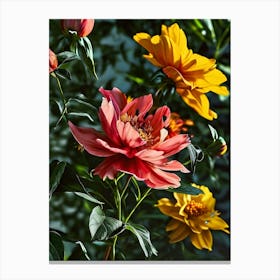 Peonies 20 Canvas Print