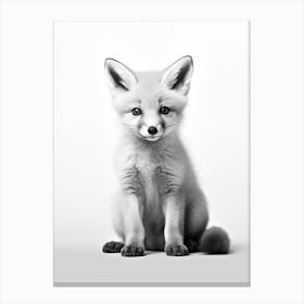 The Sly Canvas Print