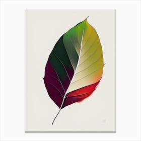 Sycamore Leaf Abstract 6 Canvas Print