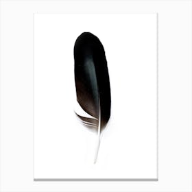 Black Feather Spirit II Canvas Print