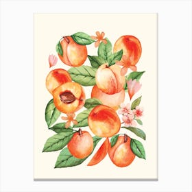 Peaches Canvas Print