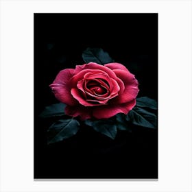 Dark Rose 41 Canvas Print