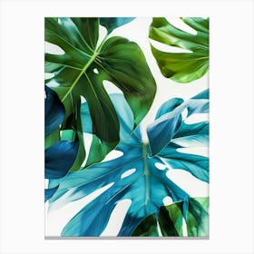 Tropical Leaves On White Background Canvas Print