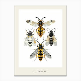 Colourful Insect Illustration Yellowjacket 6 Poster Canvas Print