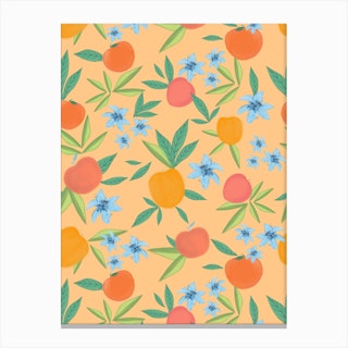 Simple Peachy Canvas Print