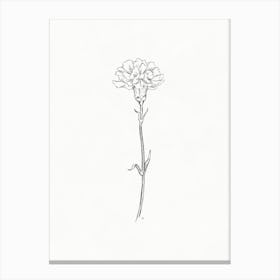 Carnation Sketch Canvas Print