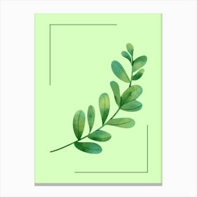 Eucalyptus Leaf 1 Canvas Print