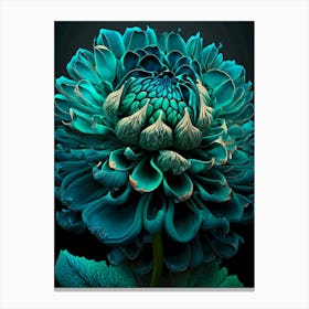 Teal Chrysanthemum Canvas Print