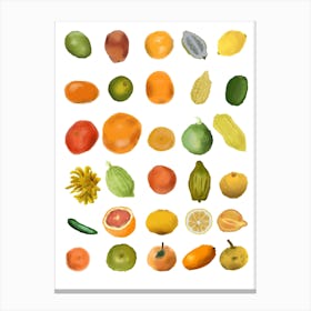 Citrus fruit Canvas Print