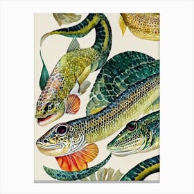 Lizardfish Vintage Graphic Watercolour Canvas Print