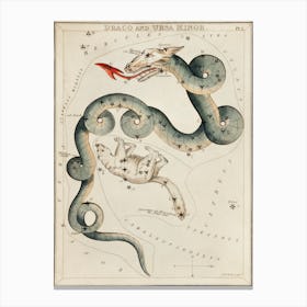 Draco And The Ursa Minor, Sidney Hall Canvas Print