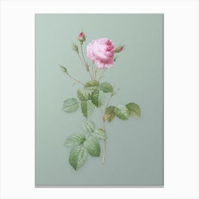 Vintage Provence Rose Botanical Art on Mint Green Canvas Print