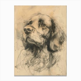 Clumber Spaniel Dog Charcoal Line 1 Canvas Print