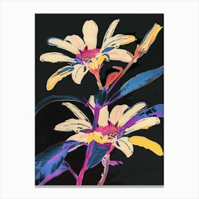 Neon Flowers On Black Cineraria 2 Canvas Print