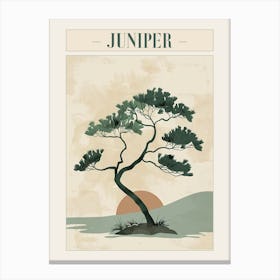 Juniper Tree Minimal Japandi Illustration 4 Poster Canvas Print