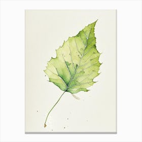 Sycamore Leaf Minimalist Watercolour 3 Canvas Print