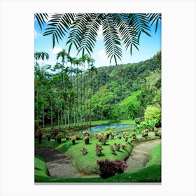 Martinique Park Wild Canvas Print