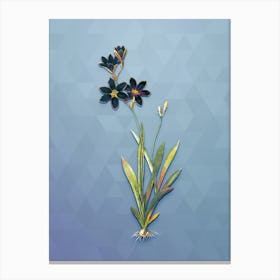 Vintage Ixia Grandiflora Botanical Art on Summer Song Blue Canvas Print