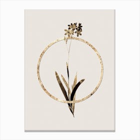 Gold Ring Corn Lily Glitter Botanical Illustration n.0100 Canvas Print
