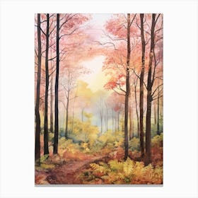 Autumn Forest Landscape Forest Of Dean England 1 Canvas Print