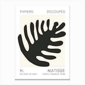 Matisse 29 Canvas Print