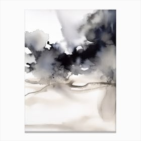 Watercolour Abstract Black And White 1 Canvas Print