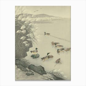 Japanese Ukiyo-E Ducks In The Pond Canvas Print