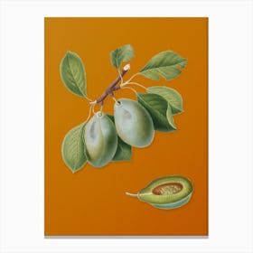 Vintage Plum Botanical on Sunset Orange Canvas Print