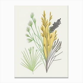 Fennel Seeds Spices And Herbs Minimal Line Drawing 9 Canvas Print